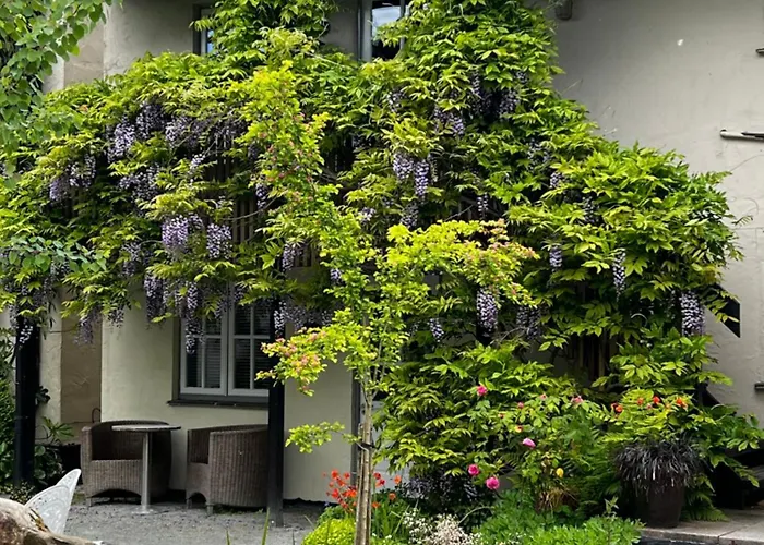 Hotel The Drunken Duck Ambleside