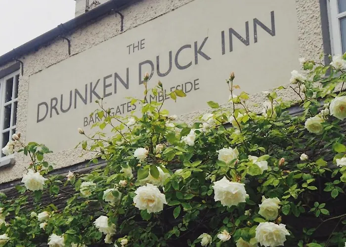 The Drunken Duck 酒店 *